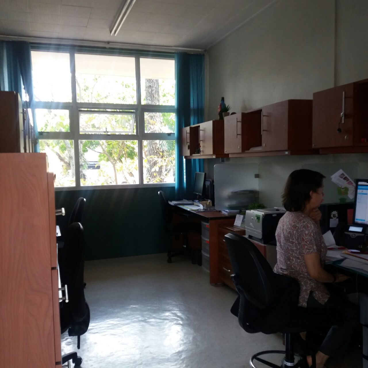 Nuevos ventanales - oficina