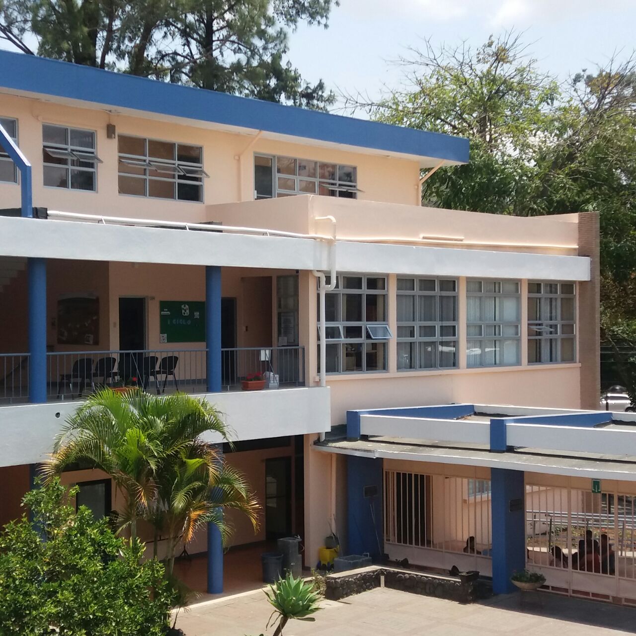 Ventanales externos