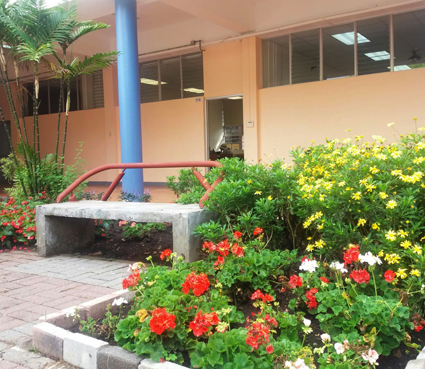 jardines02