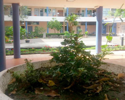 jardines04